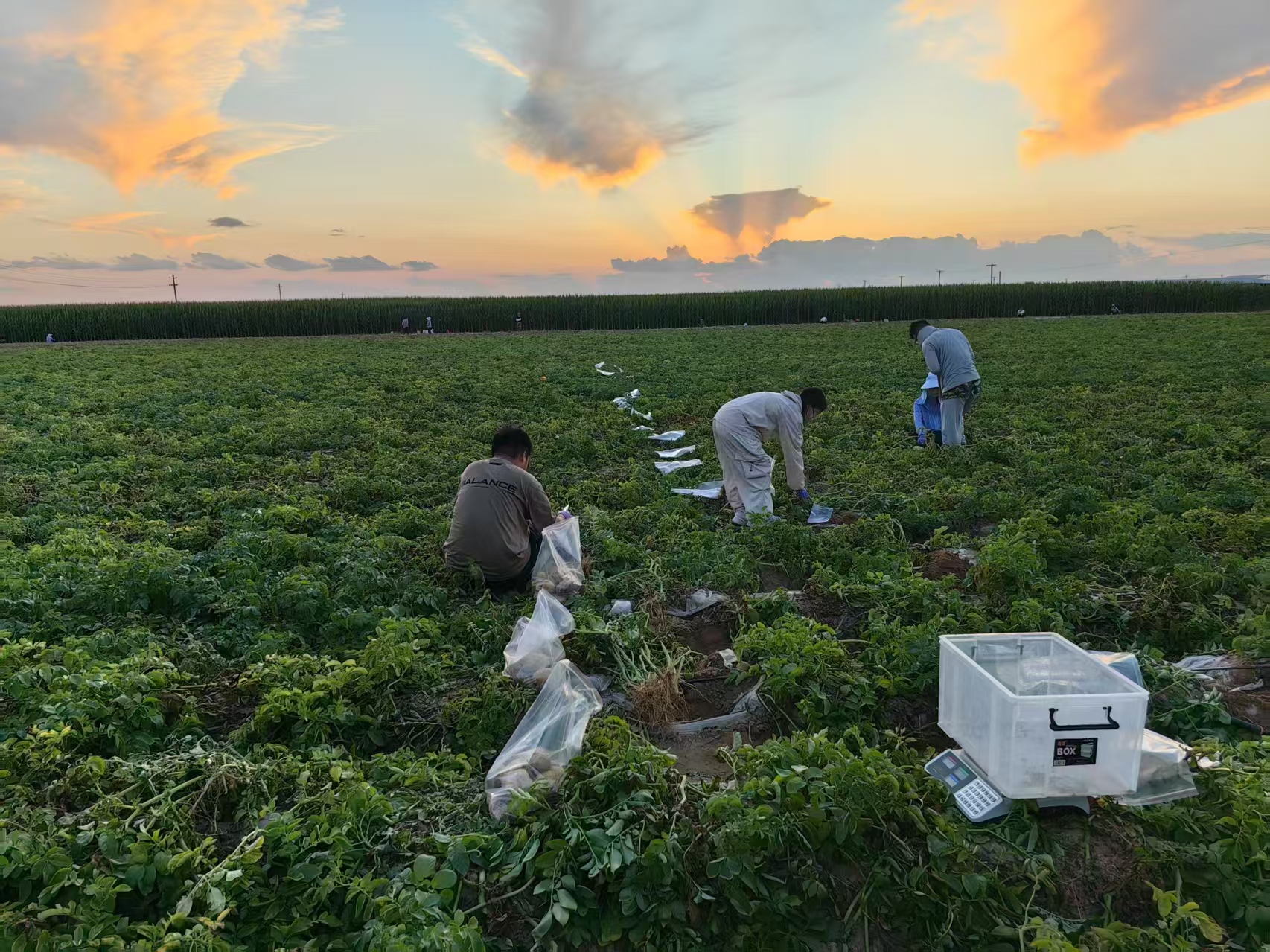 1e36e29ea11515b85bc38c1b9ddaee7e.jpg 1e36e29ea11515b85bc38c1b9ddaee7e.jpg